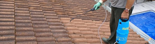 Des produits de nettoyage et démoussage de toiture 17100 à Saintes certifiés